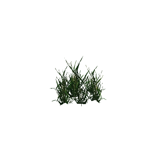 grass tropical2